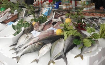 Il costo socio-economico del pesce scartato perché non trova mercato