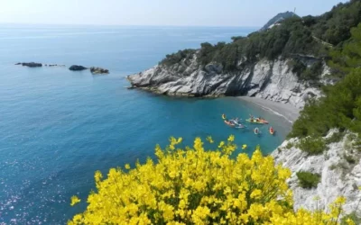 Fidapa savonese “adotta” le spiagge di Punta Predani e del lungomare di Spotorno