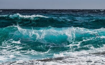 Nominato lo staff dell’Osservatorio Nazionale Tutela del Mare